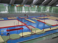 En noviembre la gimnasia se toma a Cali y Medellín 
